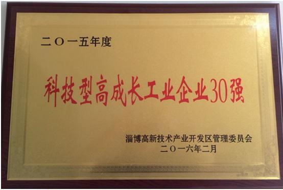 2015年度科技型高成長工業(yè)企業(yè)30強(qiáng)