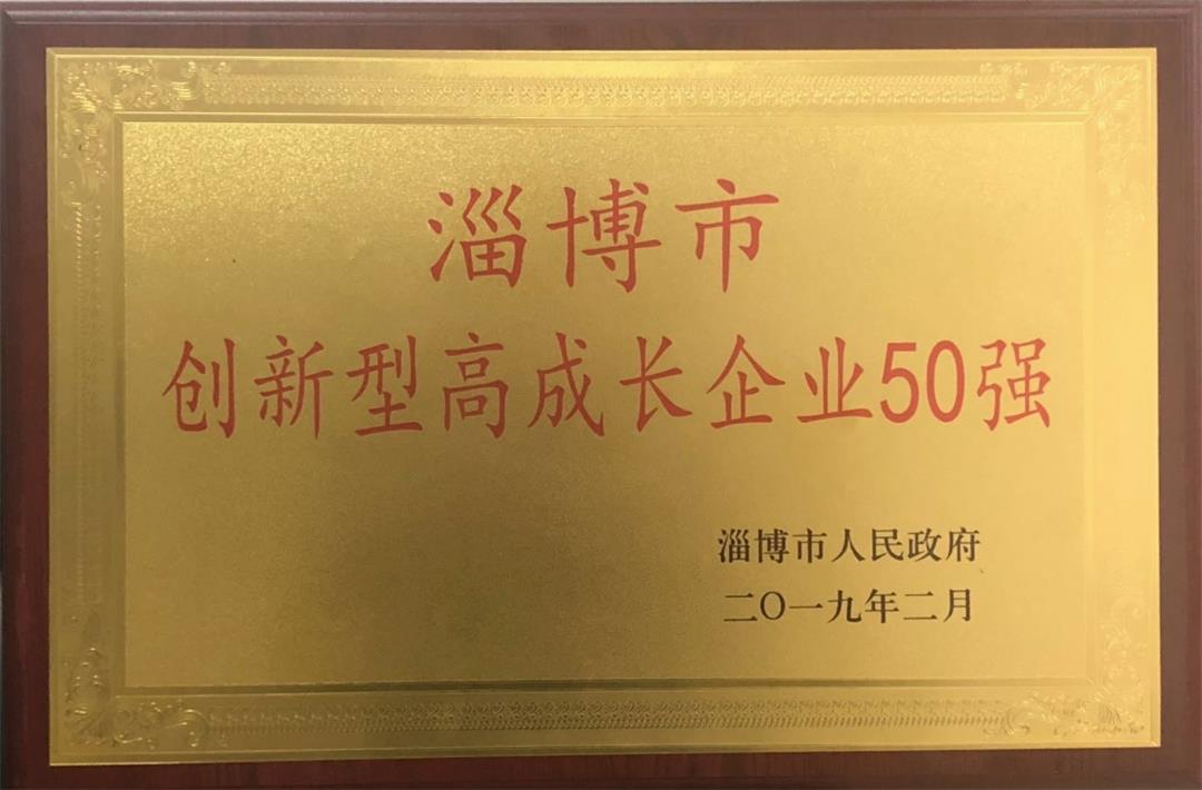 淄博市創(chuàng)新型高成長企業(yè)50強(qiáng)